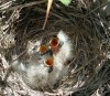 new life on Aegina